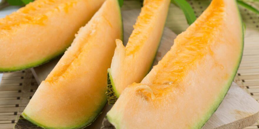 Dürfen Hunde Honigmelone essen? Was du wissen solltest!