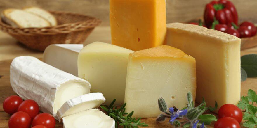 Dürfen Hunde Käse essen? Das solltest du wissen!