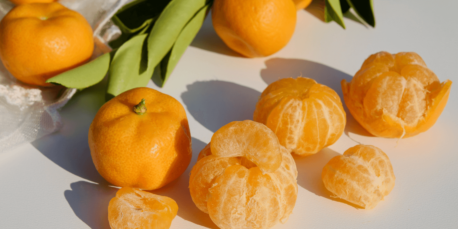 Dürfen Hunde Mandarinen essen? Wie du deinen Hund gesund und glücklich hältst