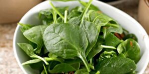 Dürfen Hunde Spinat essen? Was du wirklich wissen solltest!