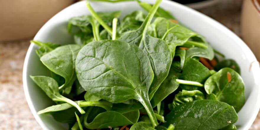 Dürfen Hunde Spinat essen? Was du wirklich wissen solltest!