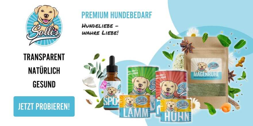 Solli's Hundebedarf - Die besten Hundesnacks Solli's Hundebedarf - Die besten Hundesnacks*
