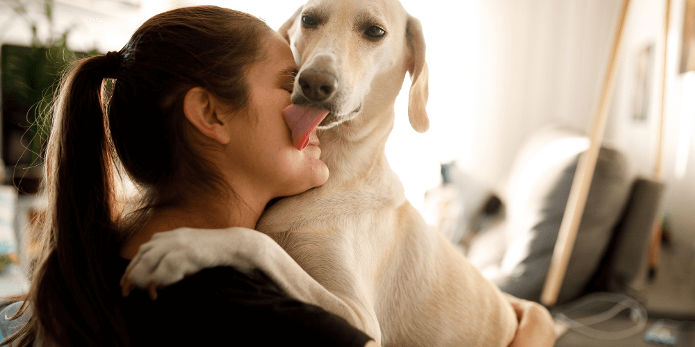 Warum leckt mein Hund mich ab: Eine Natürliche Verhaltensweise