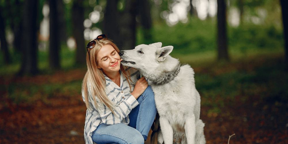 Warum lecken Hunde Menschen ab?Von Zuneigung bis Gesundheit