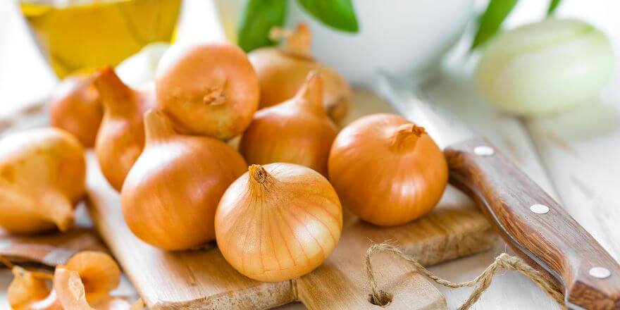 Warum Zwiebeln so schädlich sind Warum Zwiebeln so schädlich sind
