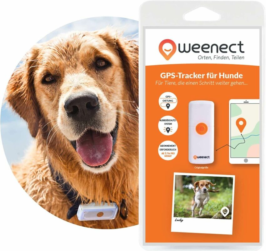 Weenect Dogs GPS Tracker